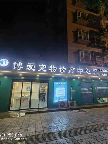 博爱宠物医院，毛孩子的健康守护天使