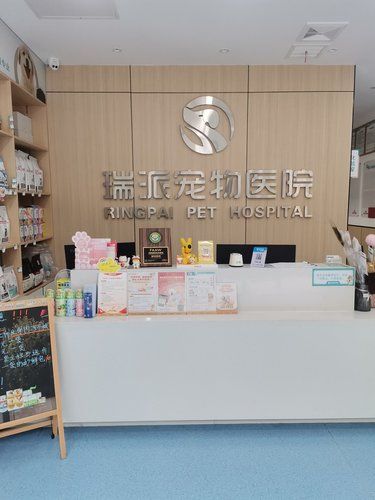 这家宠物医院真挺好