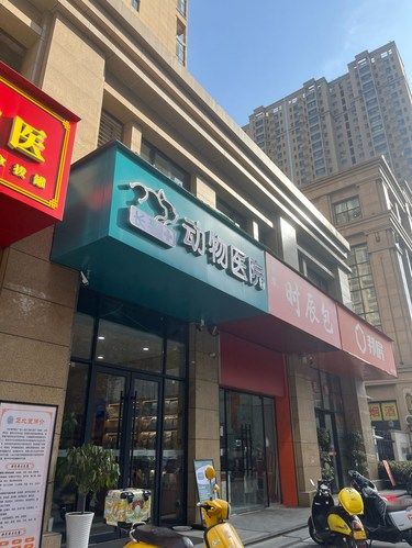 医疗环境超级给力