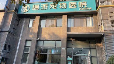 今天必须来夸夸西安瑞派宠物医院凤城五路店