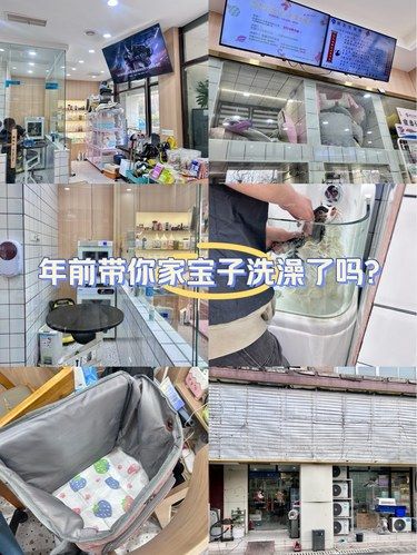 年前带你家宝子洗澡了吗？