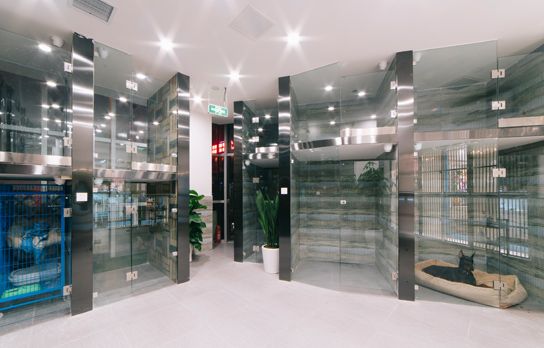 宠物酒店