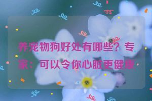 养宠物狗好处有哪些？专家：可以令你心脏更健康