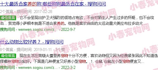 可以养的宠物猴