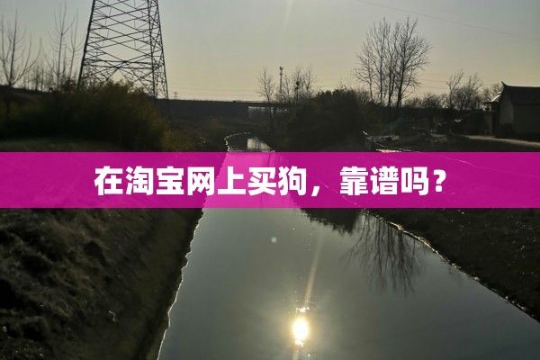 在淘宝网上买狗，靠谱吗？