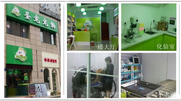 圣宠宠物店（无锡店）七月最新优惠