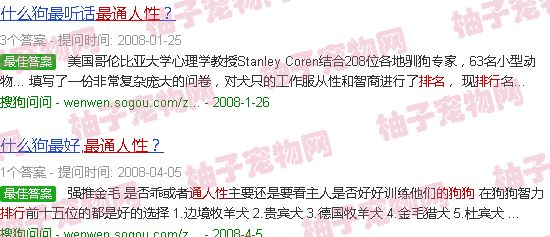 最通人性的狗狗排行