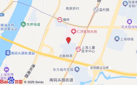 顽皮家族宠物医院(浦东分院)位置示意图