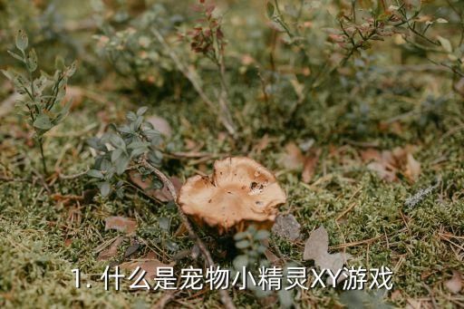 1. 什么是宠物小精灵XY游戏
