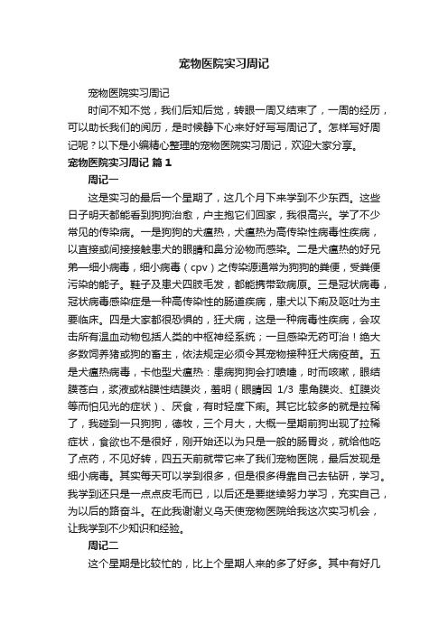 宠物医院实习周记