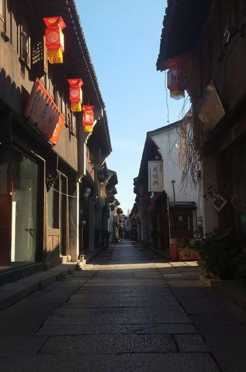 涪陵宠物店最多的一条街在那里?