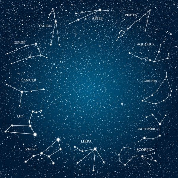 十二星座的幸运宠物，12星座代表斗罗里面的谁