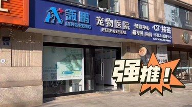 真幸运遇上这家宠物店、也太贴心了！
