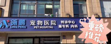 不错的宠物店，很棒哦
