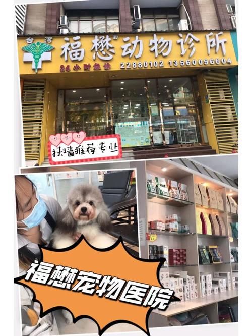 合肥宠物医院排行榜，宠物店有哪些品牌？