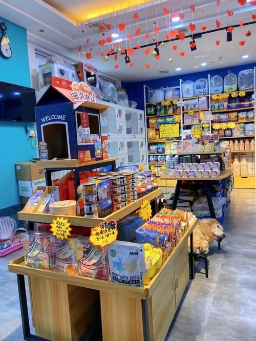 合肥宠物医院排行榜，宠物店有哪些品牌？