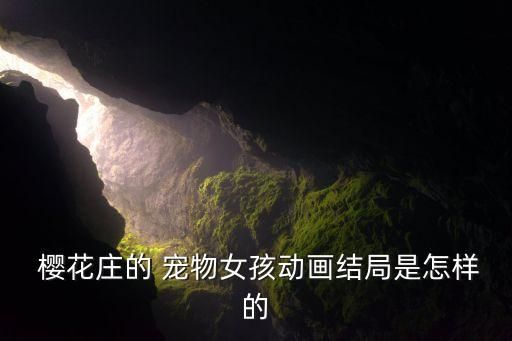  樱花庄的 宠物女孩动画结局是怎样的
