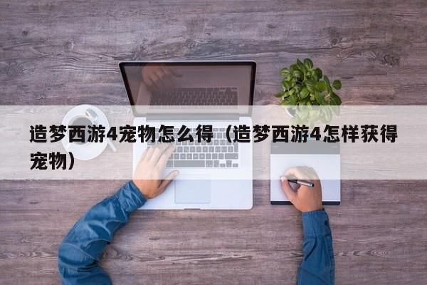 造梦西游4宠物怎么得（造梦西游4怎样获得宠物） 造梦西游4宠物怎么得 第1张