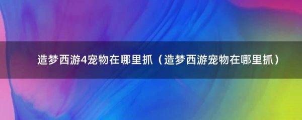 造梦西游4宠物在哪里抓（造梦西游宠物在哪里抓）