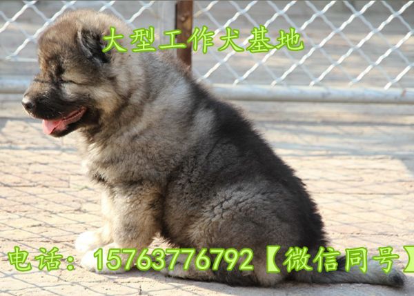 重庆渝中售后无忧场地址