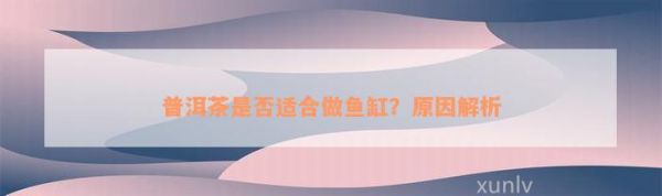 普洱茶是不是适合做鱼缸？起因解析