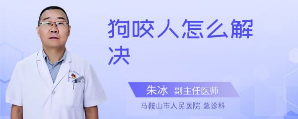狗咬人怎么解决
