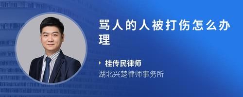 骂人的人被打伤怎么办理