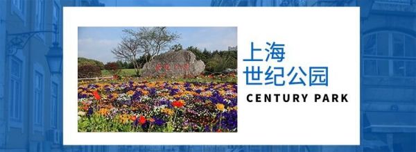 上海世纪公园能带宠物吗？能放风筝吗