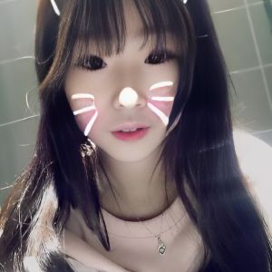 专业铲屎官