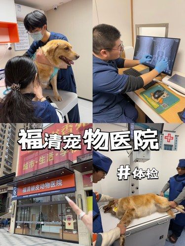 很放心❗️福清人自己的专业宠物医院