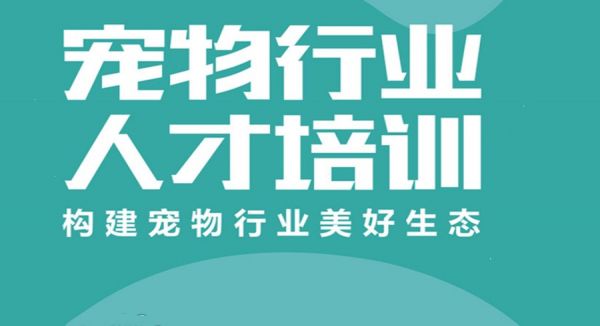 北京排名前列的宠物美容护理师培训学校名单一览.jpg
