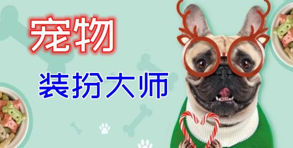北京排名前列的宠物美容护理师培训学校名单一览.jpg