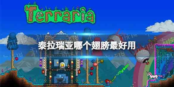 菜鸟下载1