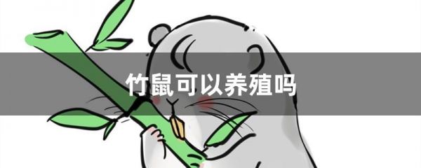 竹鼠可以养殖吗