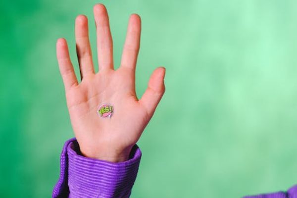 宜昌哪里可以宠物美容
