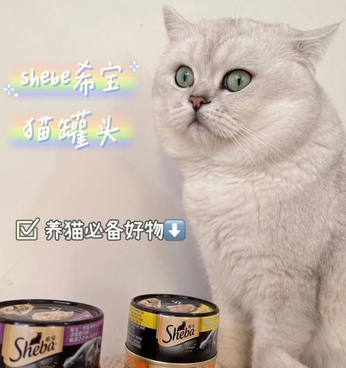 如何以猫咪为选择罐头的参考？（以宠物为主的罐头怎么选？猫咪口味与营养需求是关键。）
