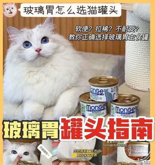 如何以猫咪为选择罐头的参考？（以宠物为主的罐头怎么选？猫咪口味与营养需求是关键。）