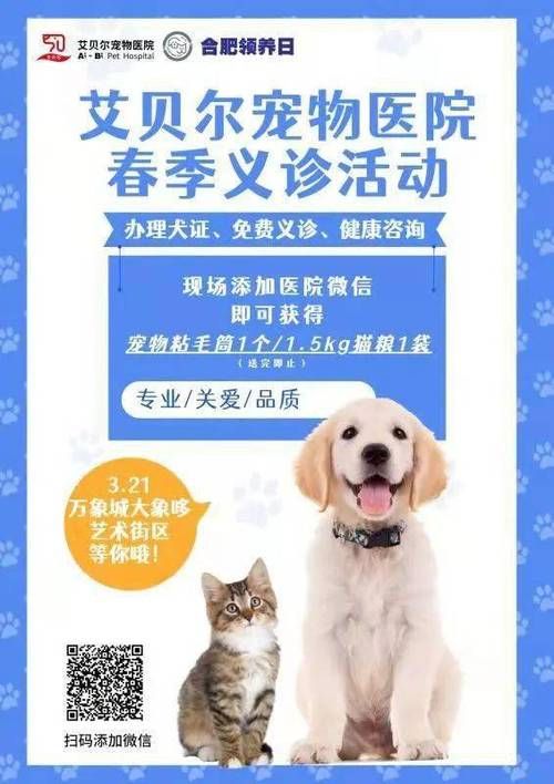 24小时宠物医院常州，请问常州哪有宠物领养的地方？