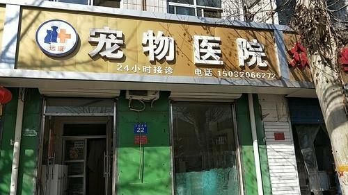 常州24小时宠物医院,常州24小时宠物医院电话