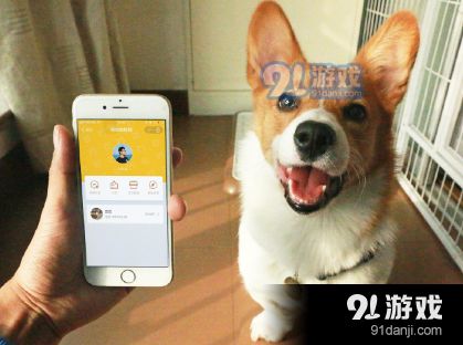 支付宝app宠物码申请方法教程_52z.com