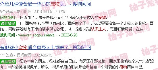 认主人的冷门宠物
