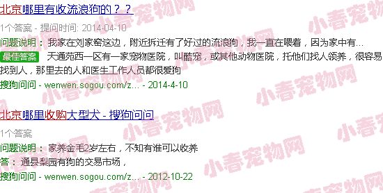 北京长期上门收购各种宠物犬