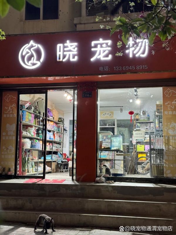 附近有宠物店吗_附近有宠物店吗在哪里