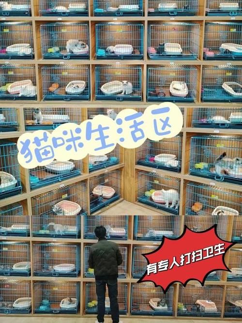 附近有宠物店吗_附近有宠物店吗在哪里