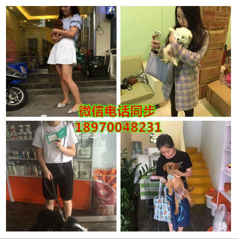 六安附近哪里有店：信息