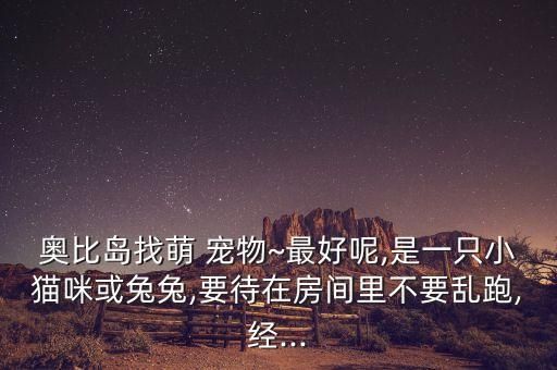 奥比岛找萌 宠物~最好呢,是一只小猫咪或兔兔,要待在房间里不要乱跑,经...