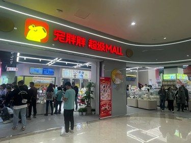 宠胖胖超级 Mall，一站式解决宠物所有需求