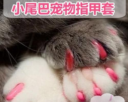 怎样处理宠物狗的长指甲（宠物狗指甲长了怎么办）