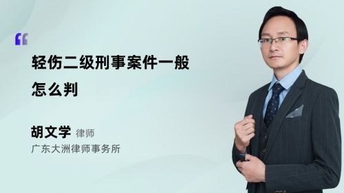 轻伤二级刑事案件一般怎么判