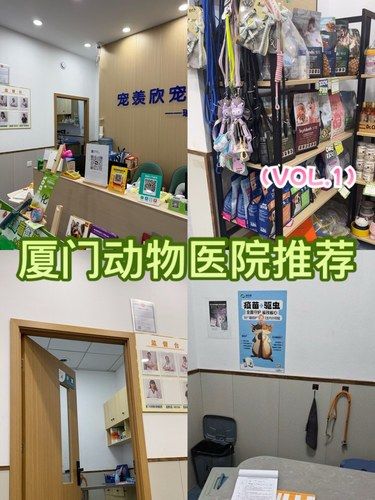 厦门动物医院推荐